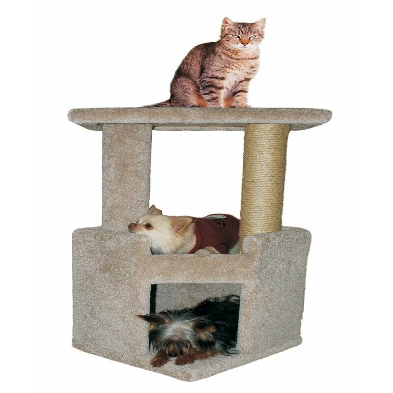 Archie & Oscar™ 49" Honeycutt Cat Tree Cat tree, Pet furniture